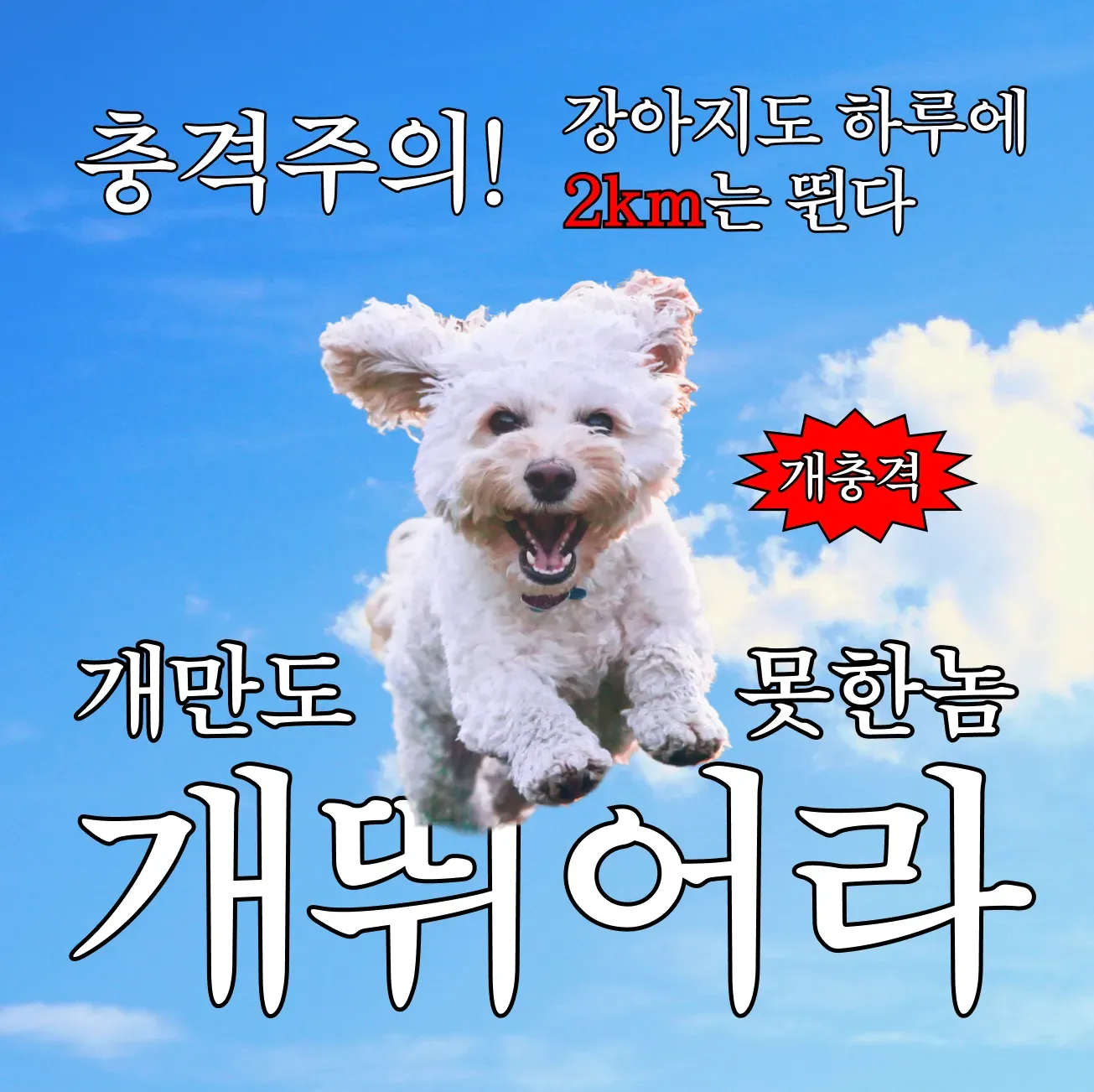 대회 이미지
